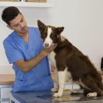 Pablo Pereira González